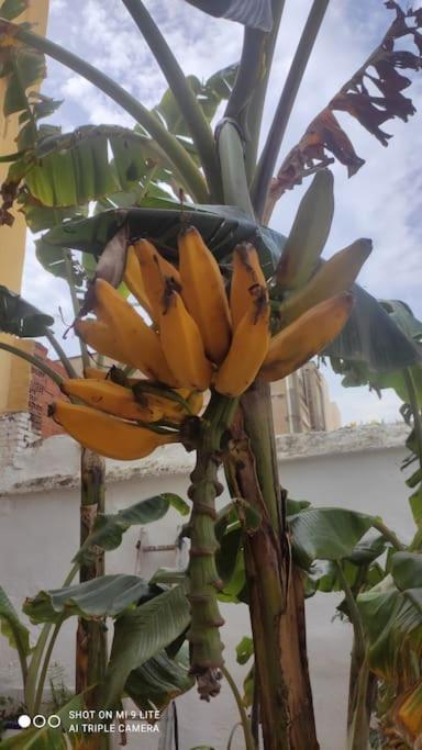 Precioso Apartamento Con A/A En Ruzafa Con Terracita Privada Y Acceso A Un Jardin, Para 2-3 Personas Valencia Kültér fotó